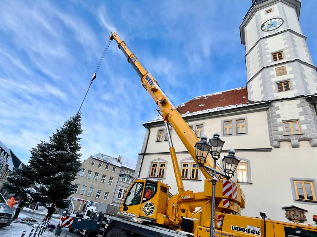 Aufstellung des Weihnachtsbaumes