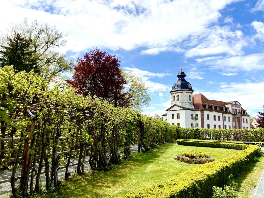Schlossgarten im Sommer