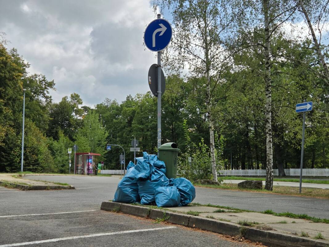 World Cleanup Day 2026 Eisenberg räumt auf